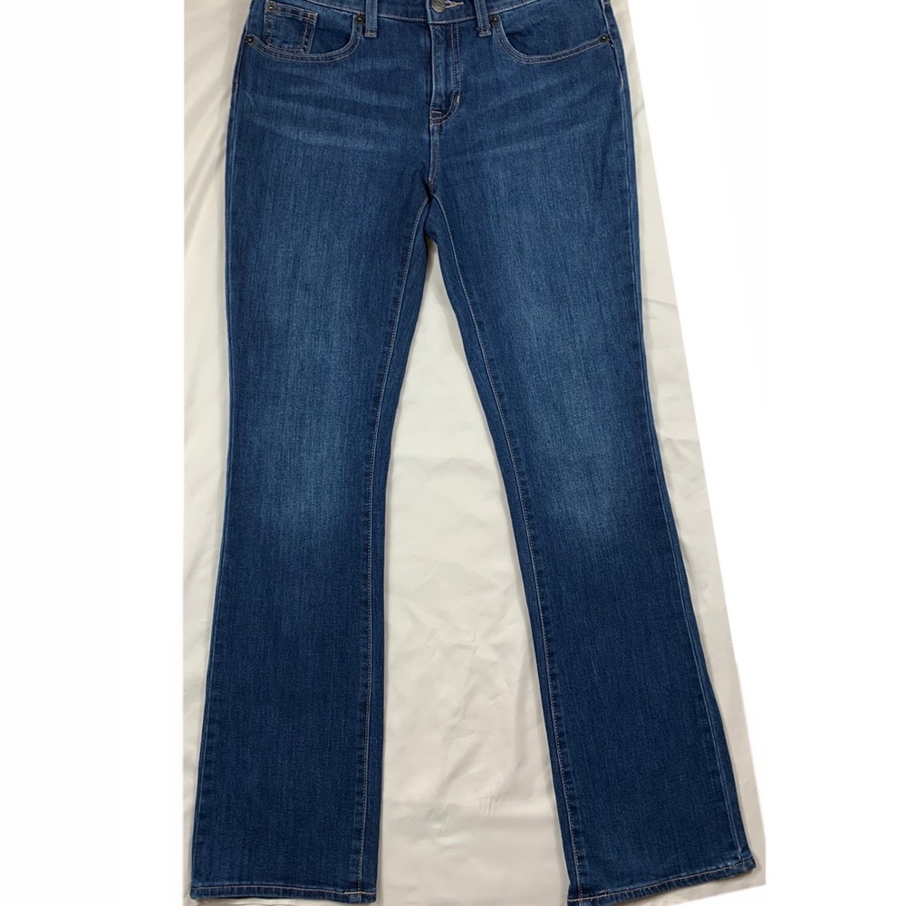GAP Size 4/27 Regular Perfect Boot Blue Jeans